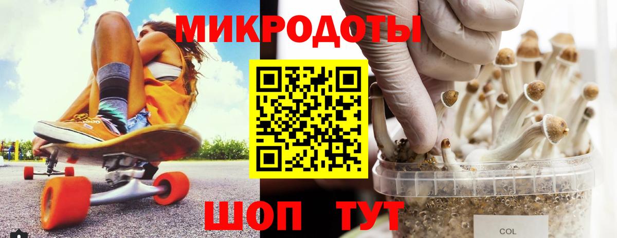 Псилоцибиновые грибы MAGIC MUSHROOMS Советский
