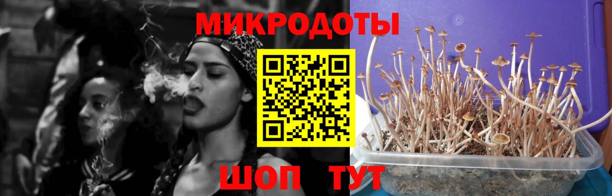 купить  сайты  Вход с VPN  Советский  Псилоцибиновые грибы Magic Shrooms 